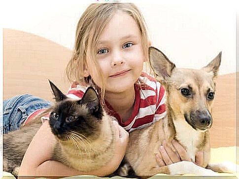 A little girl with her dog and her cat