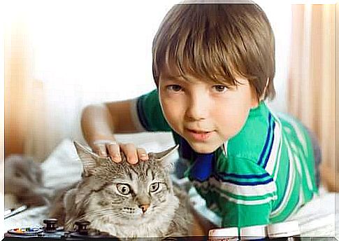 A boy with his cat