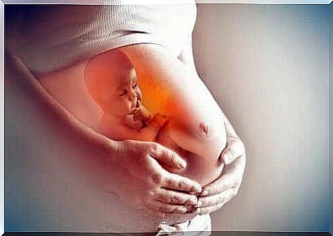 Image of a baby in the womb