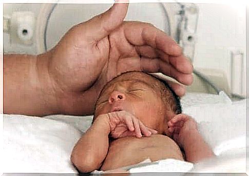 A premature baby with an adult hand