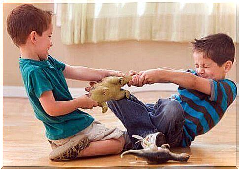 Two brothers arguing over a toy 