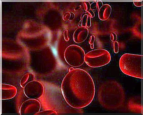 Red blood cells