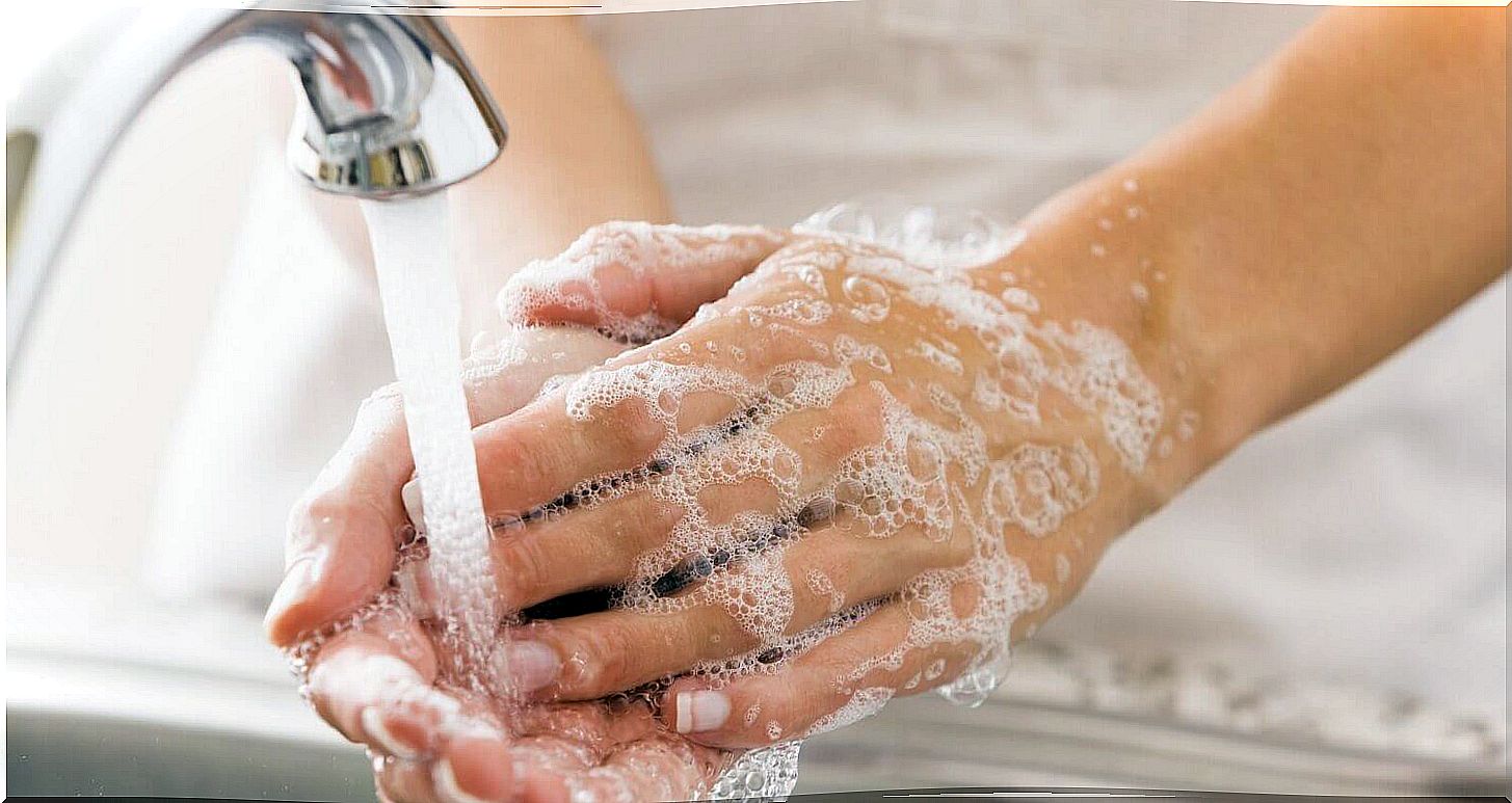 An adult washing their hands